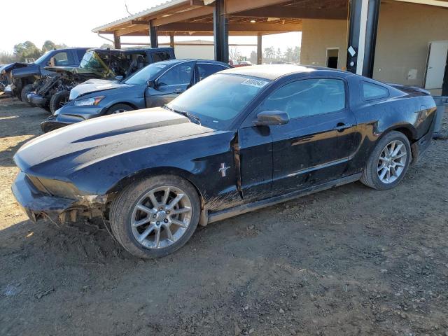 2010 Ford Mustang 