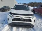 2021 TOYOTA RAV4 XLE for sale at Copart ON - COOKSTOWN