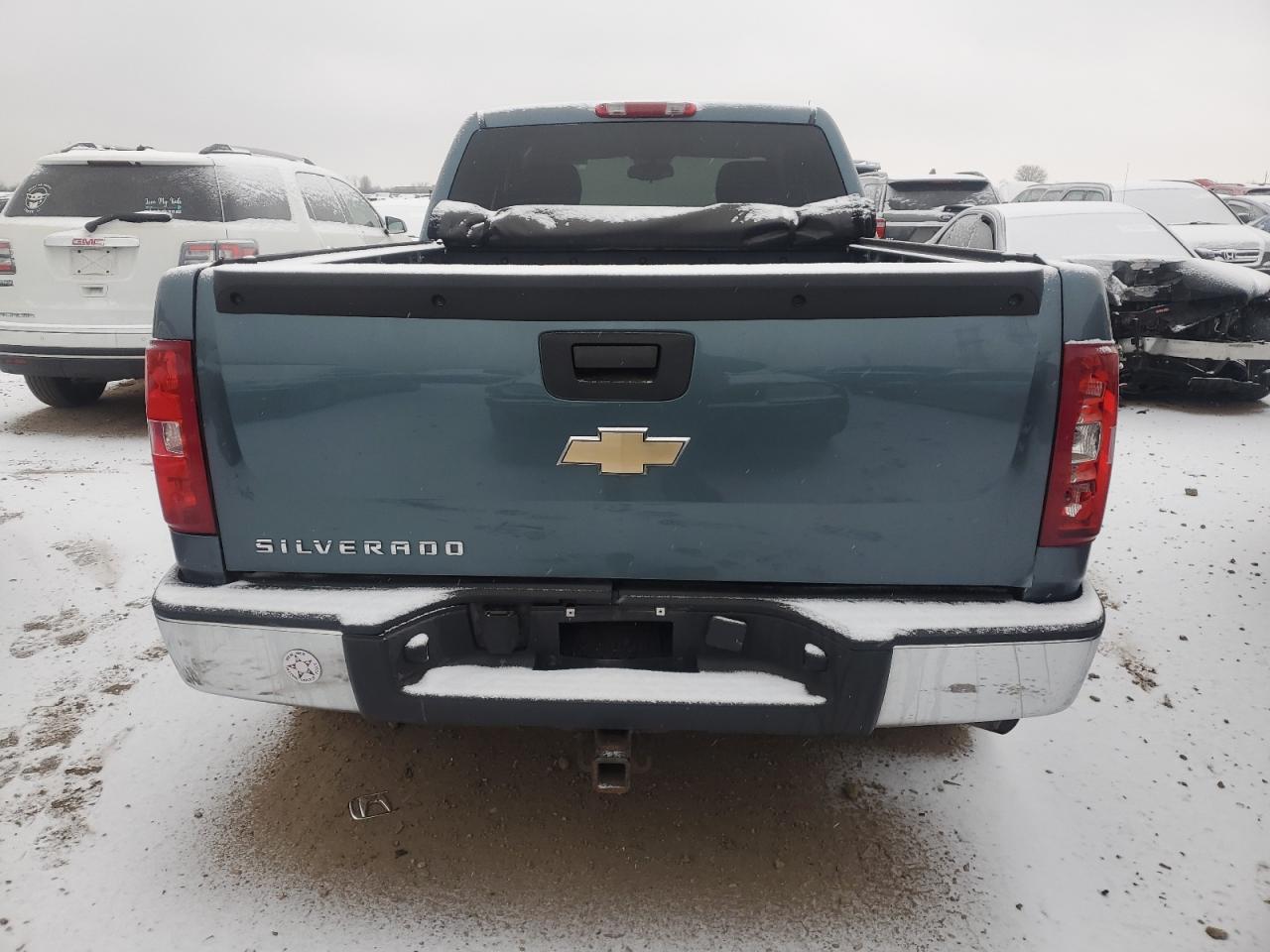 2009 Chevrolet Silverado C1500 VIN: 1GCEC19X49Z154898 Lot: 88109635