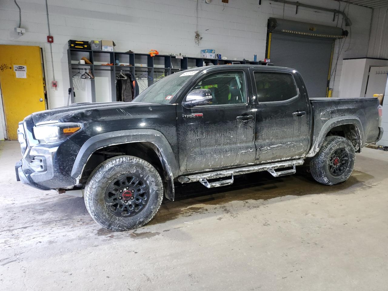 2019 Toyota Tacoma - Image 1