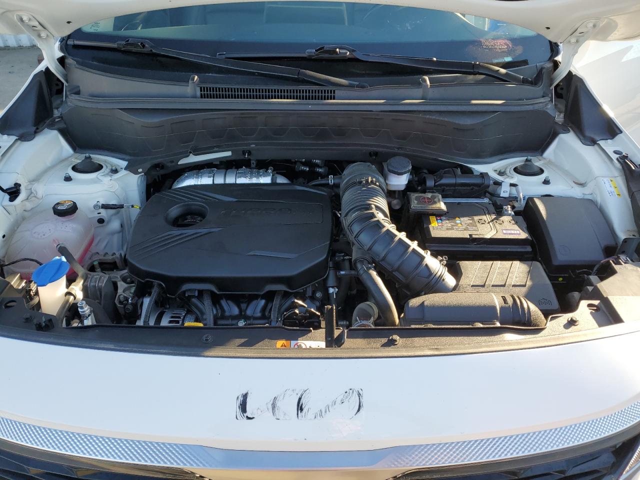 2023 Kia Seltos - Image 12