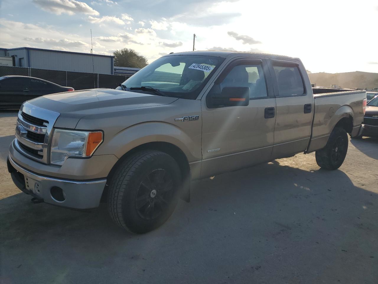 2013 Ford F150 Supercrew للبيع في Orlando، FL - Rear End
