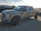 2013 Ford F150 Supercrew للبيع في Orlando، FL - Rear End