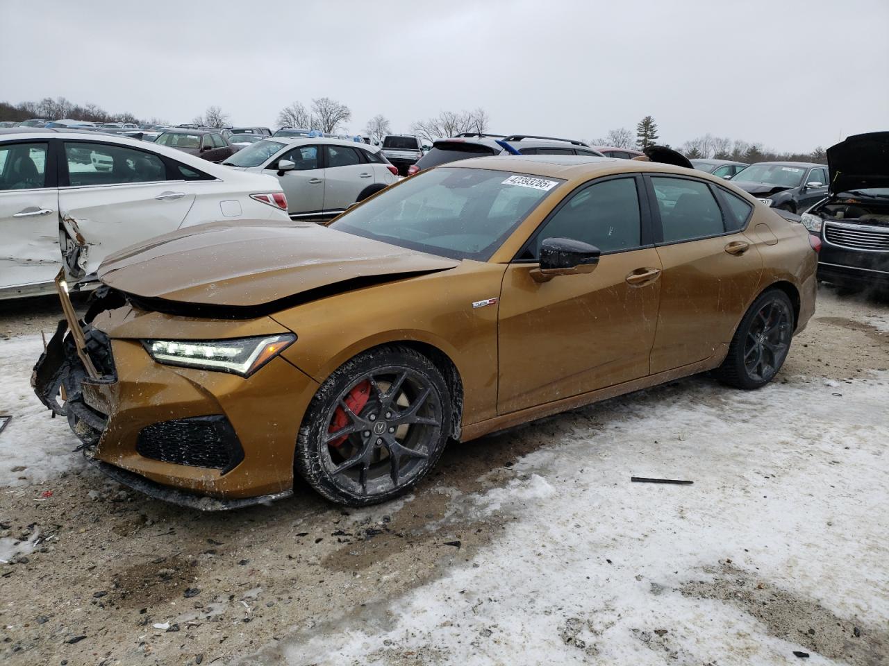 2023 Acura TLX - Image 1