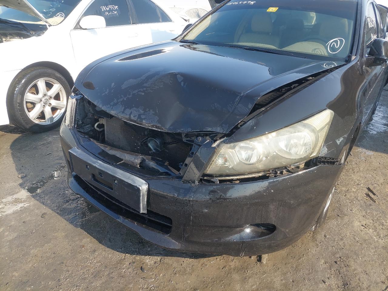 JHMCP26368C404757 - 2008 Honda Accord Lxp - #88565795