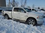 2014 Ram 1500 Slt en Venta en Wayland, MI - Side