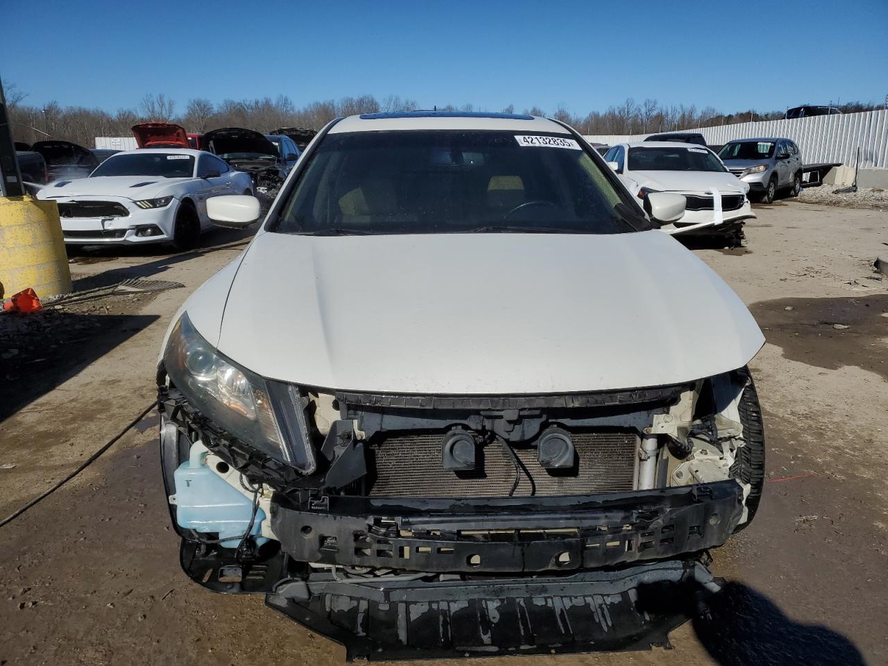 2010 Honda Accord - Image 5
