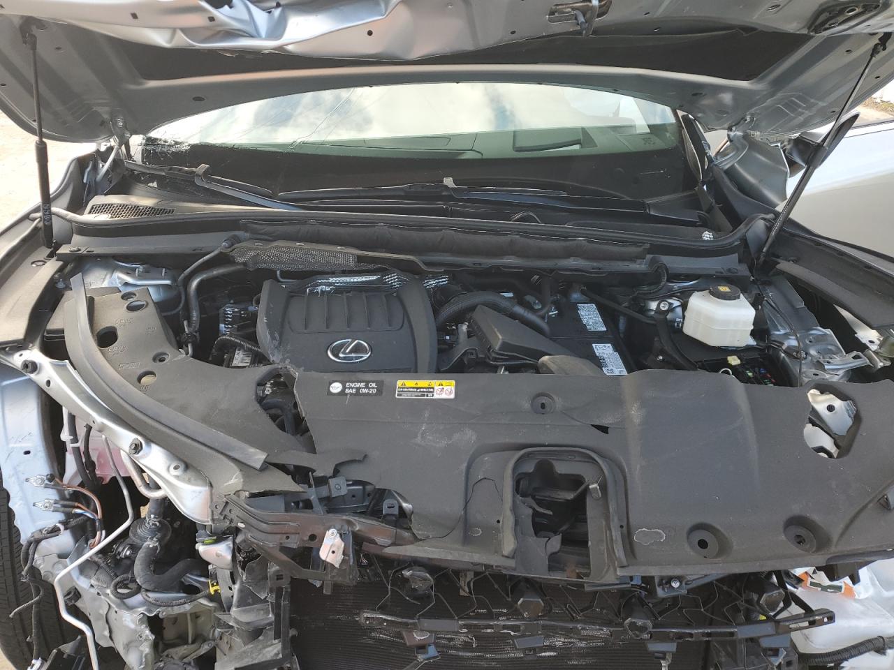 2024 Lexus RX - Image 13