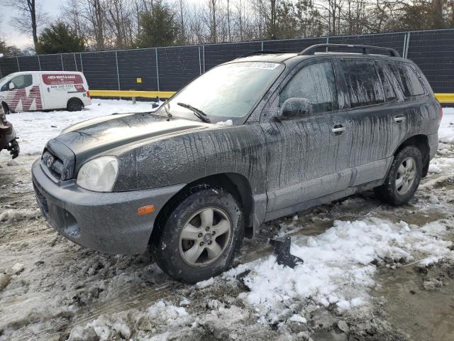 2006 Hyundai Santa Fe Gls