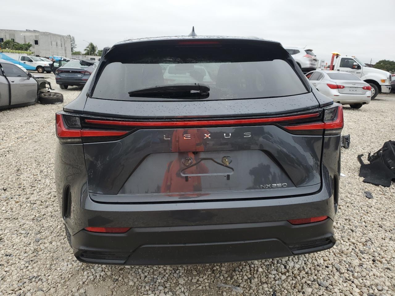 2024 Lexus NX - Image 6