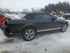 2005 Ford Mustang  for Sale in Leroy, NY - Rear End