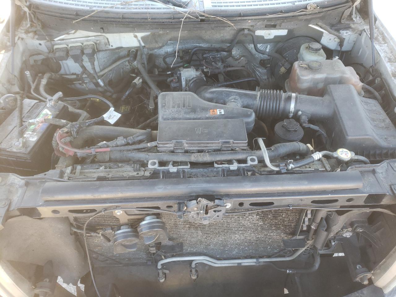 2010 Ford F-150 - Image 12