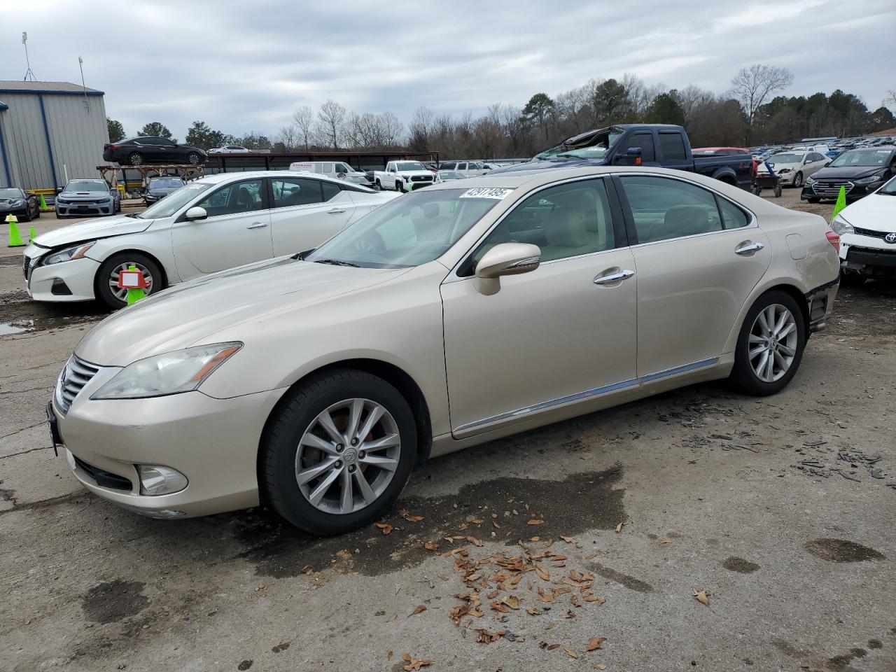 2010 Lexus ES - Image 1