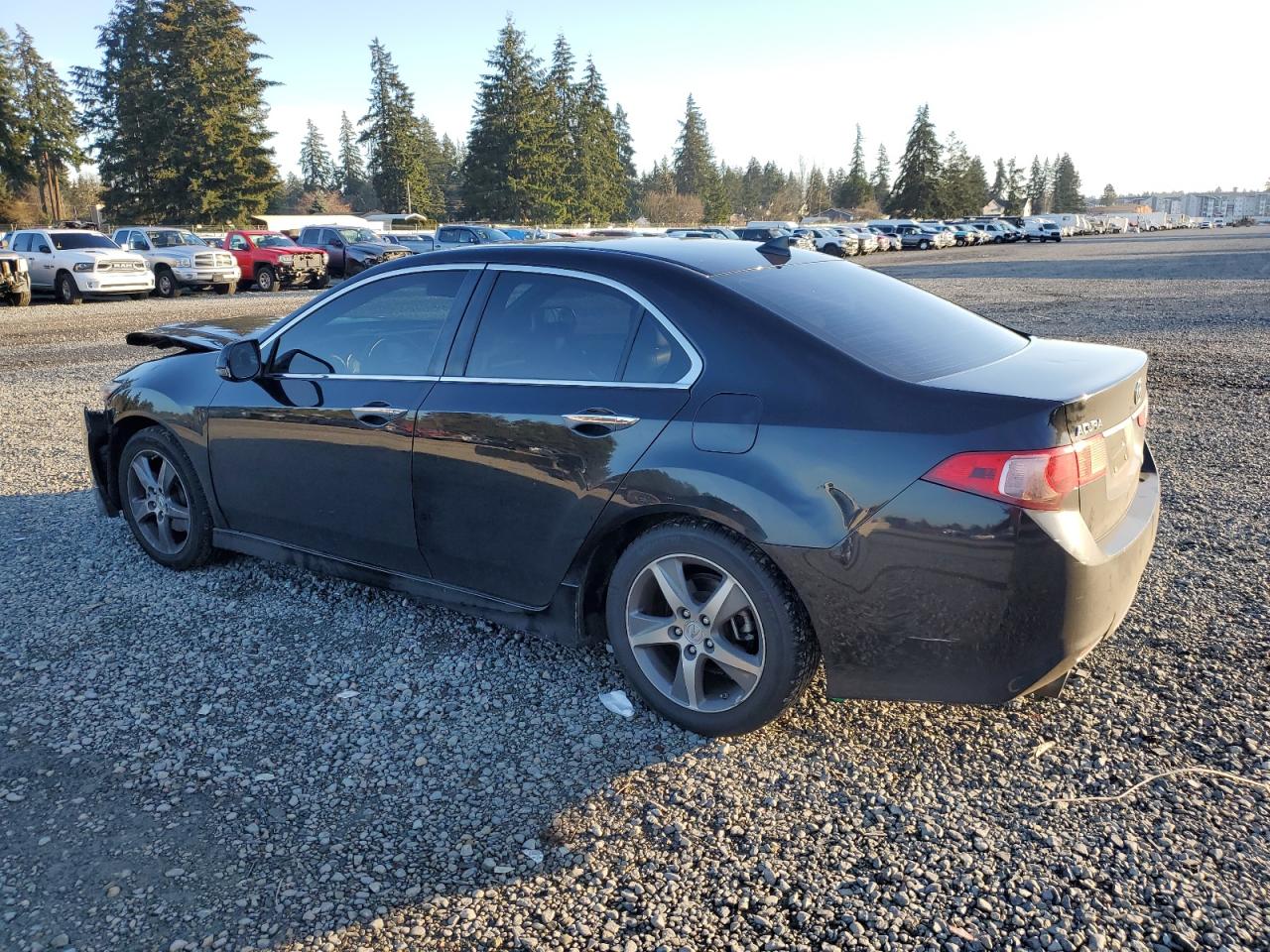 VIN JH4CU2F88DC011244 2013 ACURA TSX no.2