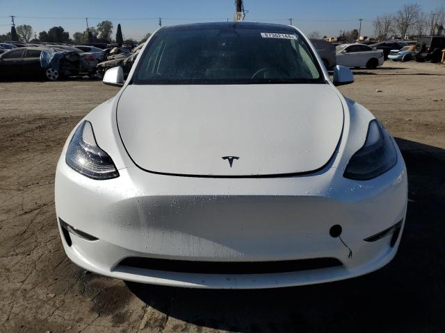  TESLA MODEL Y 2023 Белый