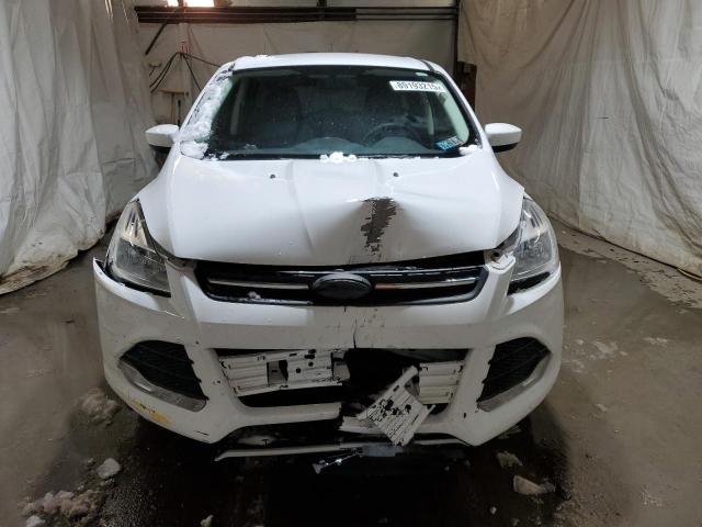  FORD ESCAPE 2014 White