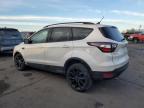 2018 Ford Escape Se იყიდება Ham Lake-ში, MN - Front End