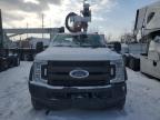 2017 Ford F550 Super Duty for Sale in Dyer, IN - Rear End