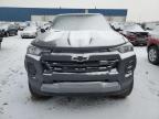 2024 Chevrolet Colorado Trail Boss for Sale in Woodhaven, MI - Rear End