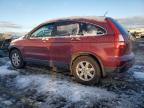 2007 Honda Cr-V Exl продається в Pennsburg, PA - Front End