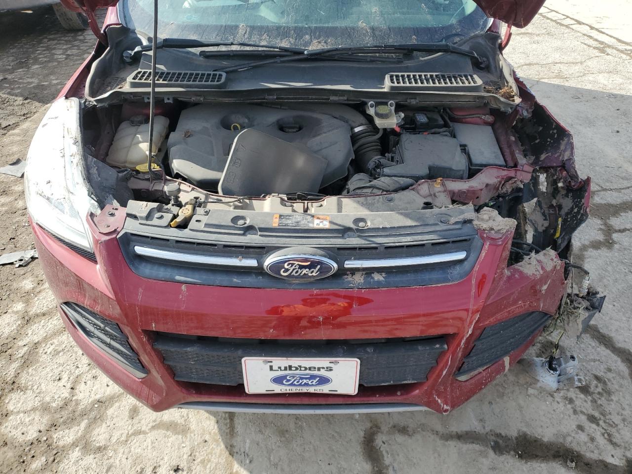 2016 Ford Escape - Image 13