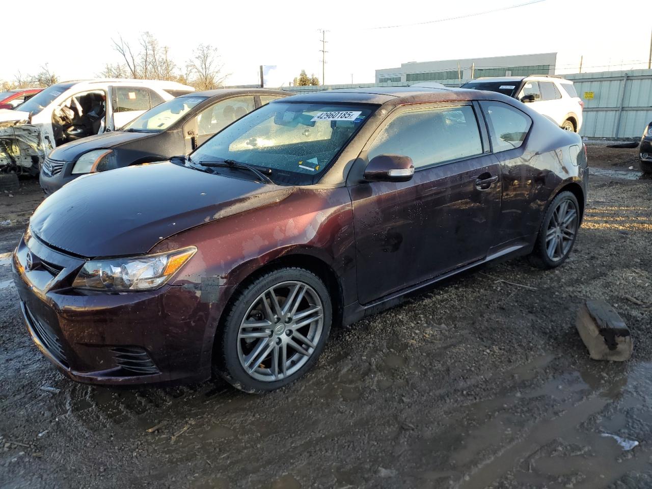 2011 Toyota Scion Tc for Sale in Chicago Heights, IL - Front End