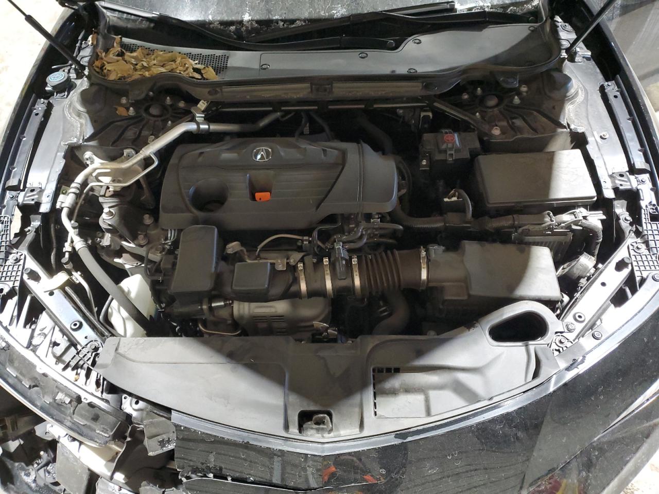 2023 Acura TLX - Image 12