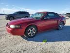 2001 Ford Mustang  продається в Arcadia, FL - Normal Wear