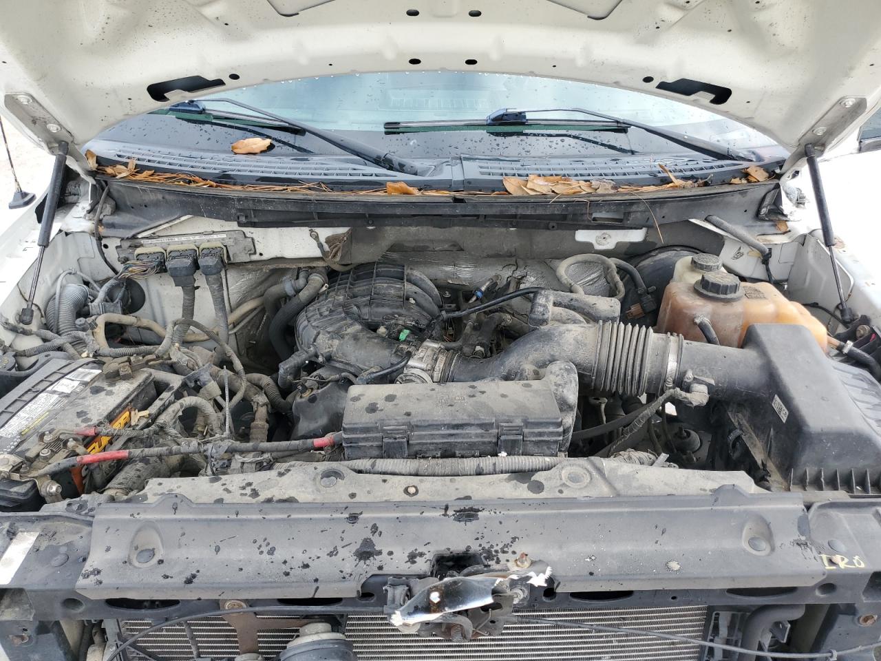 2013 Ford F-150 - Image 11