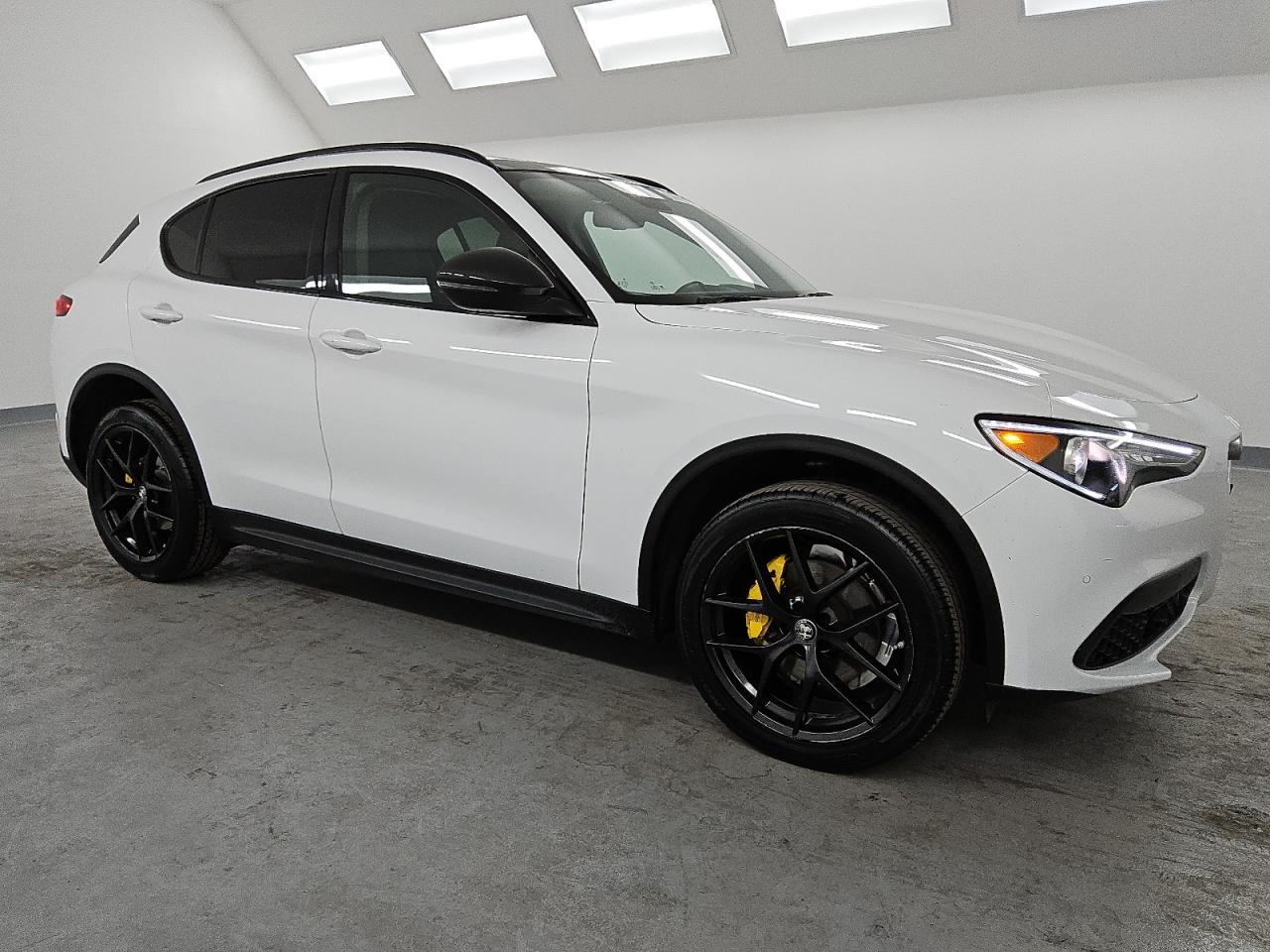 2020 Alfa Romeo Stelvio - Image 4