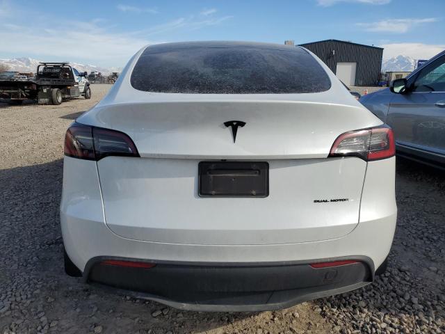  TESLA MODEL Y 2023 Белы