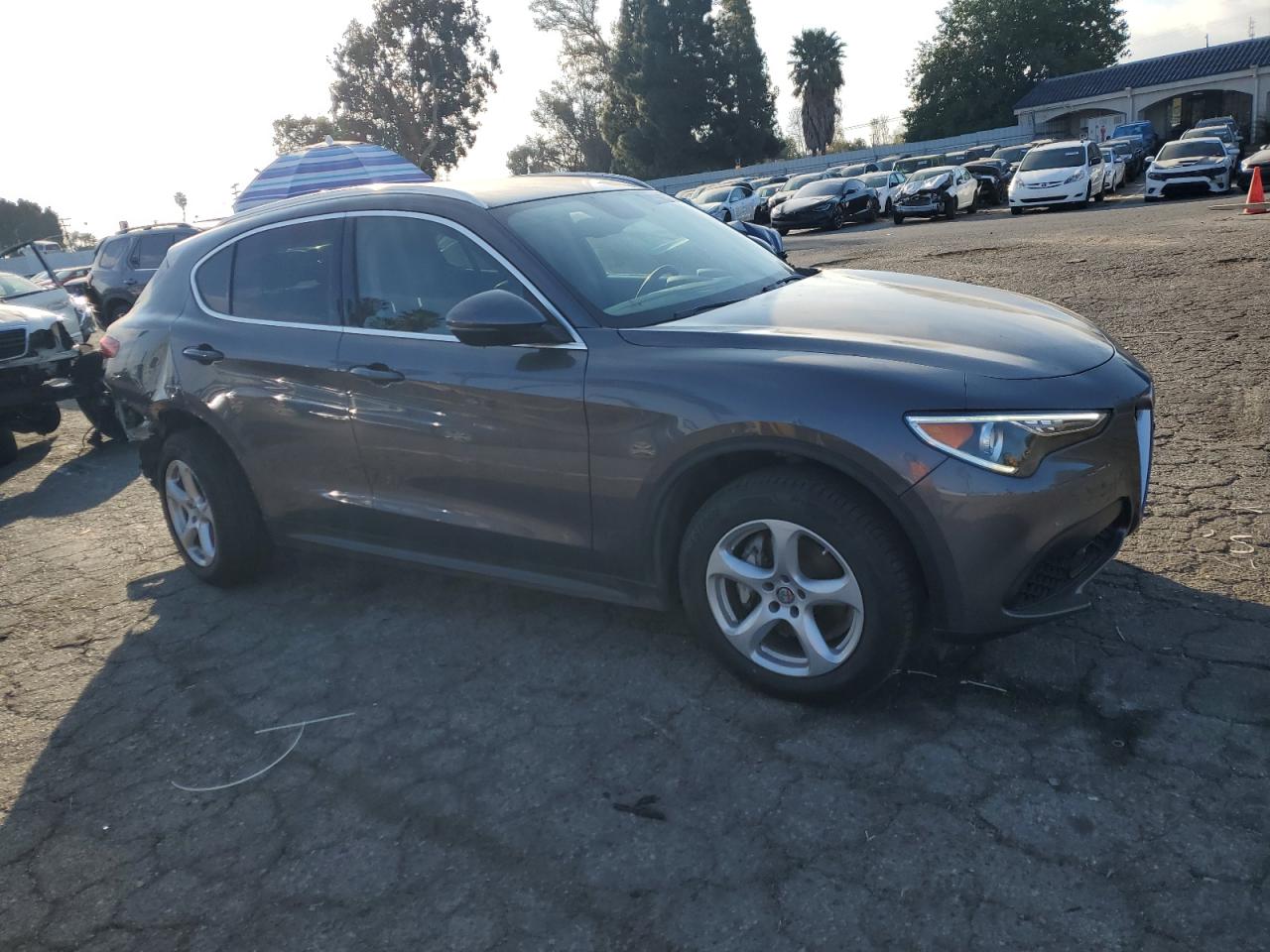 2019 Alfa Romeo Stelvio - Image 4