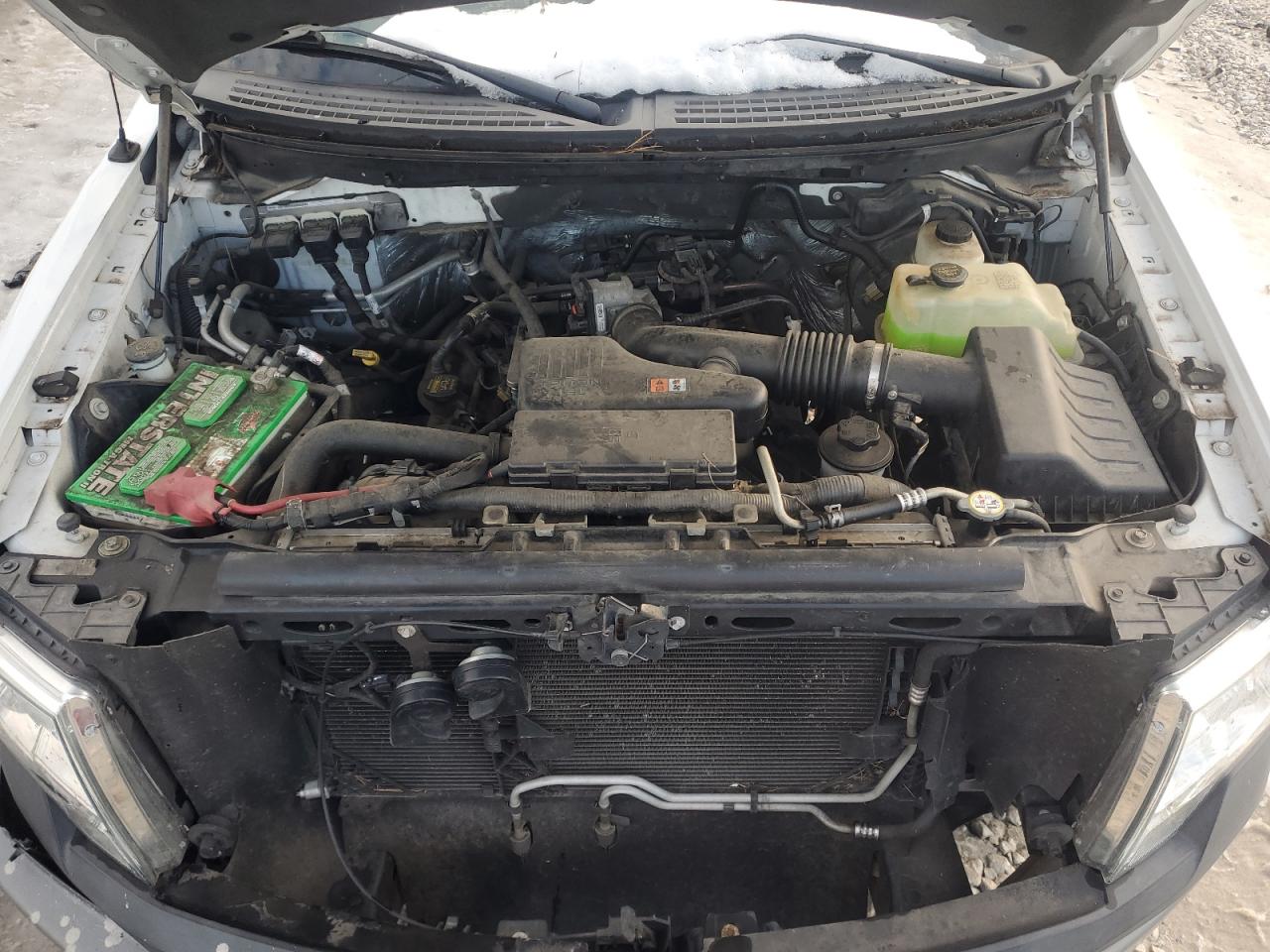 2010 Ford F-150 - Image 11