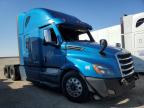 2020 Freightliner Cascadia 126  for Sale in Adelanto, CA - All Over