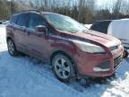 2016 FORD ESCAPE SE for sale at Copart ON - COOKSTOWN