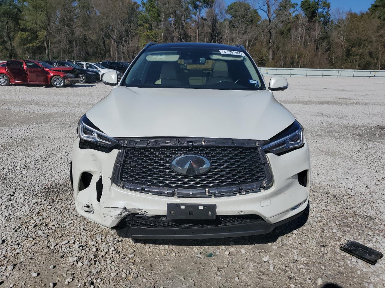 2019 Infiniti QX50 - Image 5