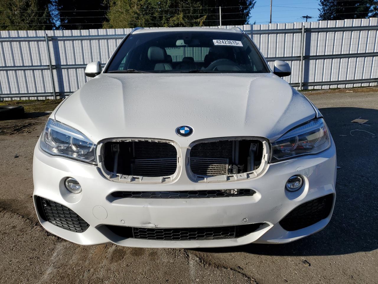 2017 BMW X5 - Image 5