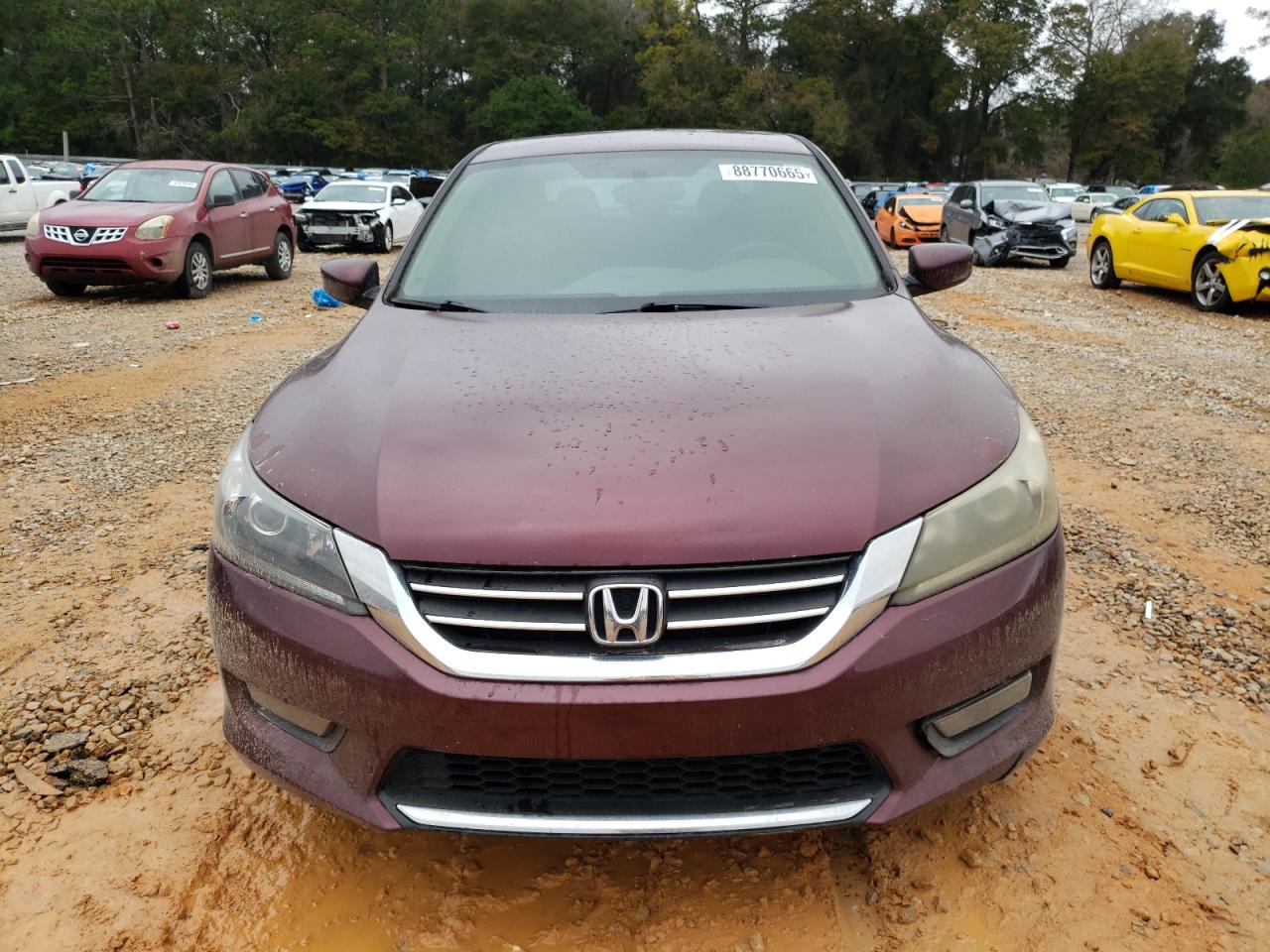 2014 Honda Accord - Image 5