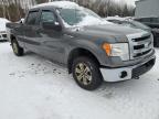 2014 Ford F150 Supercrew للبيع في Cookstown، ON - Minor Dent/Scratches