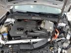 2013 Ford Fusion Se Phev   for Sale in Riverview, FL - Front End