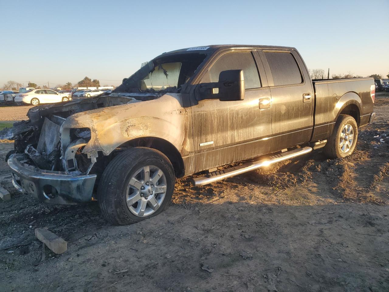 VIN 1FTFW1CT3EKG30854 2014 FORD F-150 no.1