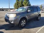 2011 Honda Pilot Exln продається в Rancho Cucamonga, CA - Minor Dent/Scratches