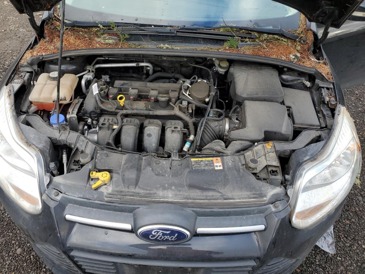 2013 Ford Focus - Image 11