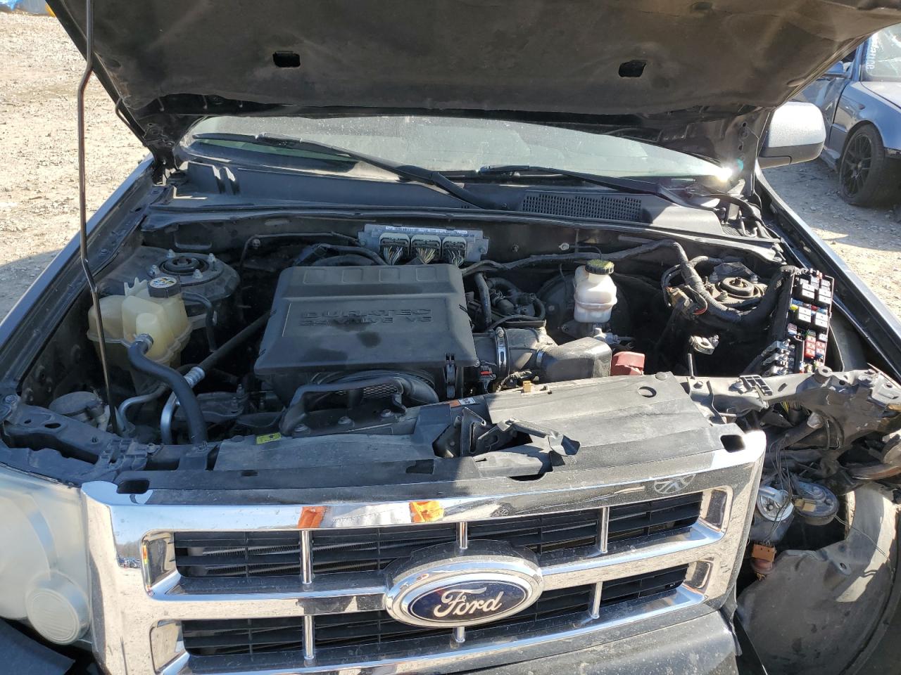 2011 Ford Escape Xlt VIN: 1FMCU0DG6BKA31197 Lot: 58164834