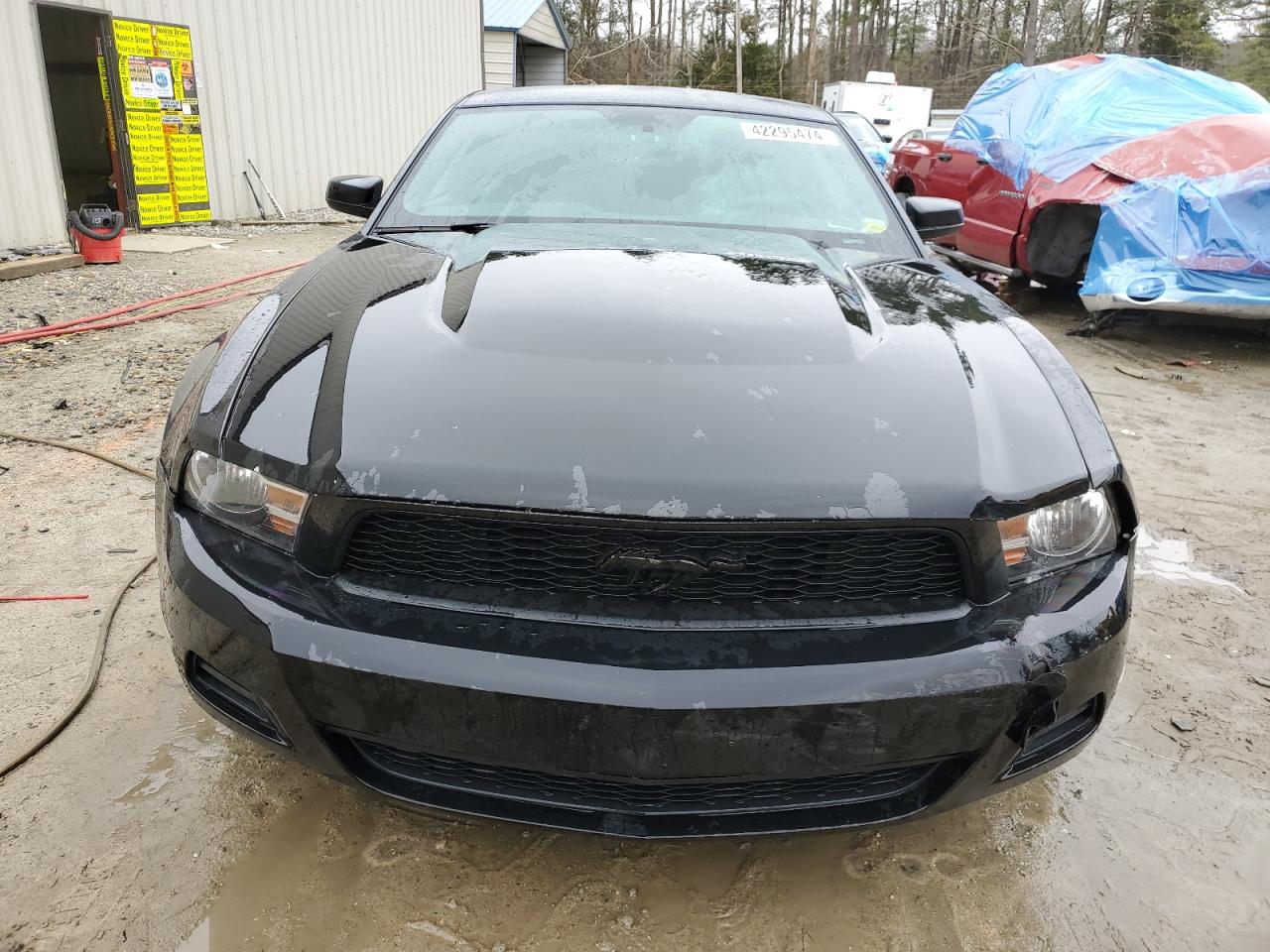 1ZVBP8AM6C5242123 2012 Ford Mustang