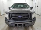 2013 Ford F150  for Sale in Madisonville, TN - Side