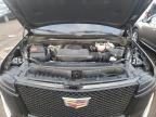 2023 Cadillac Escalade Esv Sport zu verkaufen in Elgin, IL - Vandalism