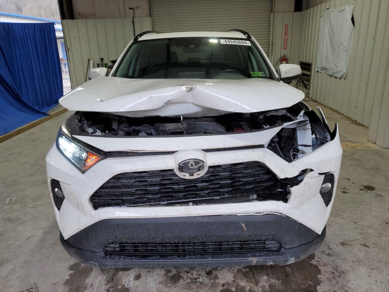 2019 Toyota Rav4 Xle VIN: 2T3P1RFV1KW017021 Lot: 44545604