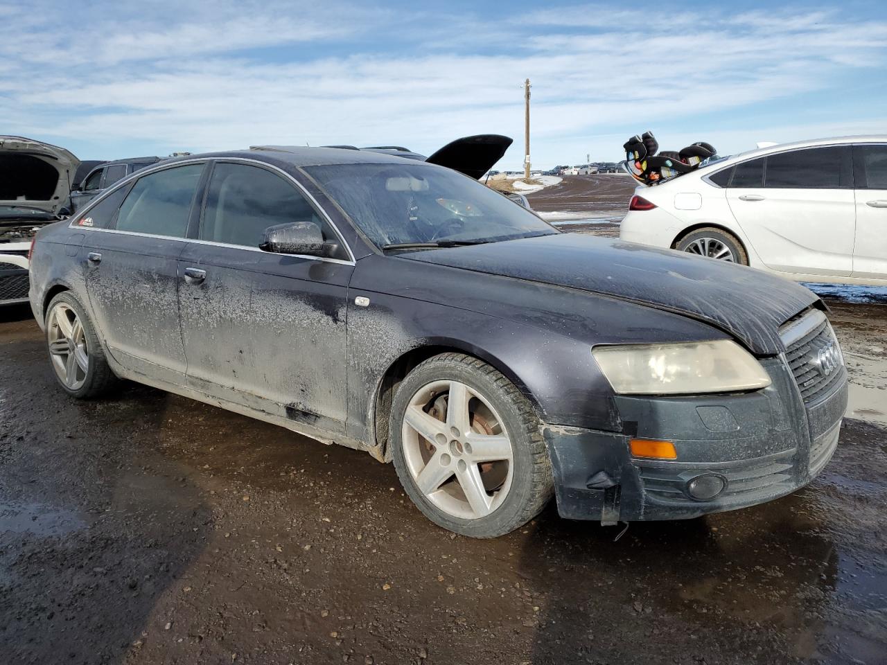 2005 Audi A6 4.2 Quattro VIN: WAUDL74F55N034863 Lot: 42627914