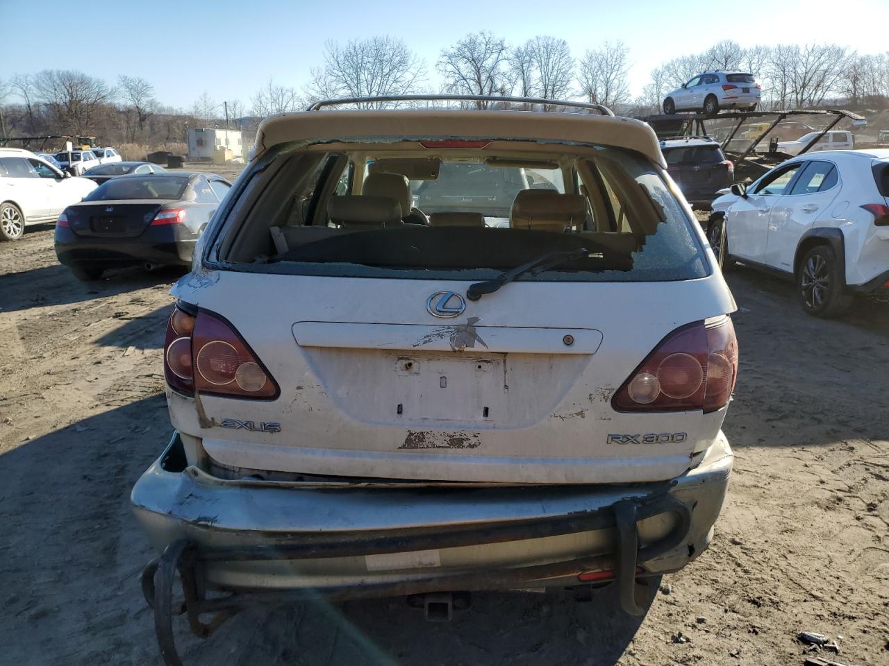 1999 Lexus Rx 300 VIN: JT6HF10U6X0014304 Lot: 41168594